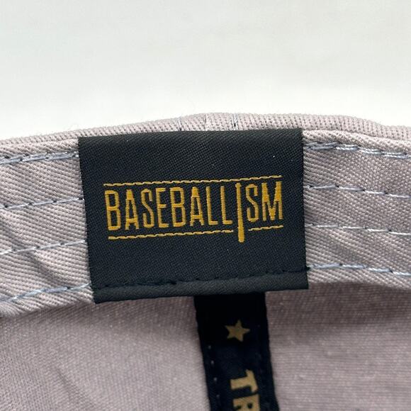 Baseballism Old Town Cactus Patch Snapback Hat One Size Gray - Picture 8 of 9